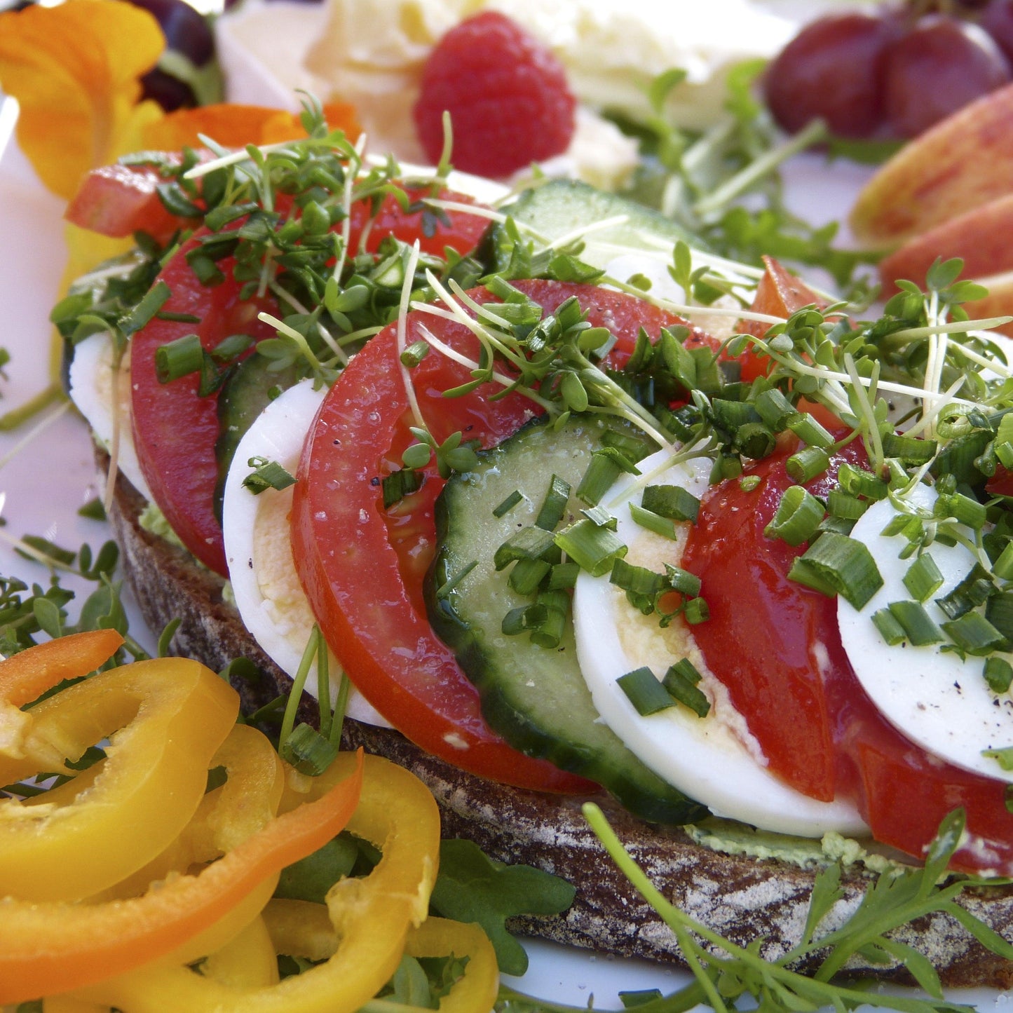 Rosa Natursalz Fein - Flora Blossom